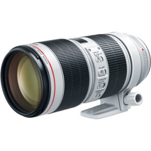 Canon 70-200mm 2.8L Mark-III Lens