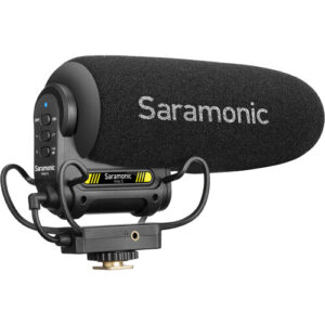 Camera Microphones