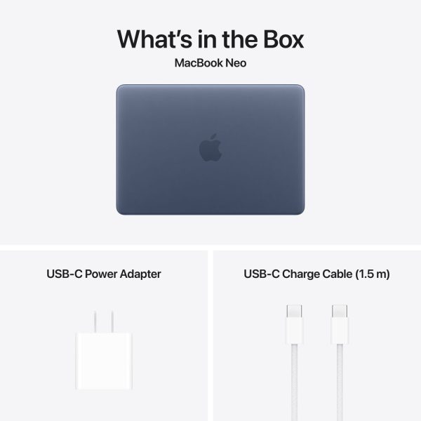 Apple 13